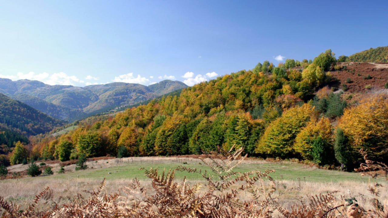 planina