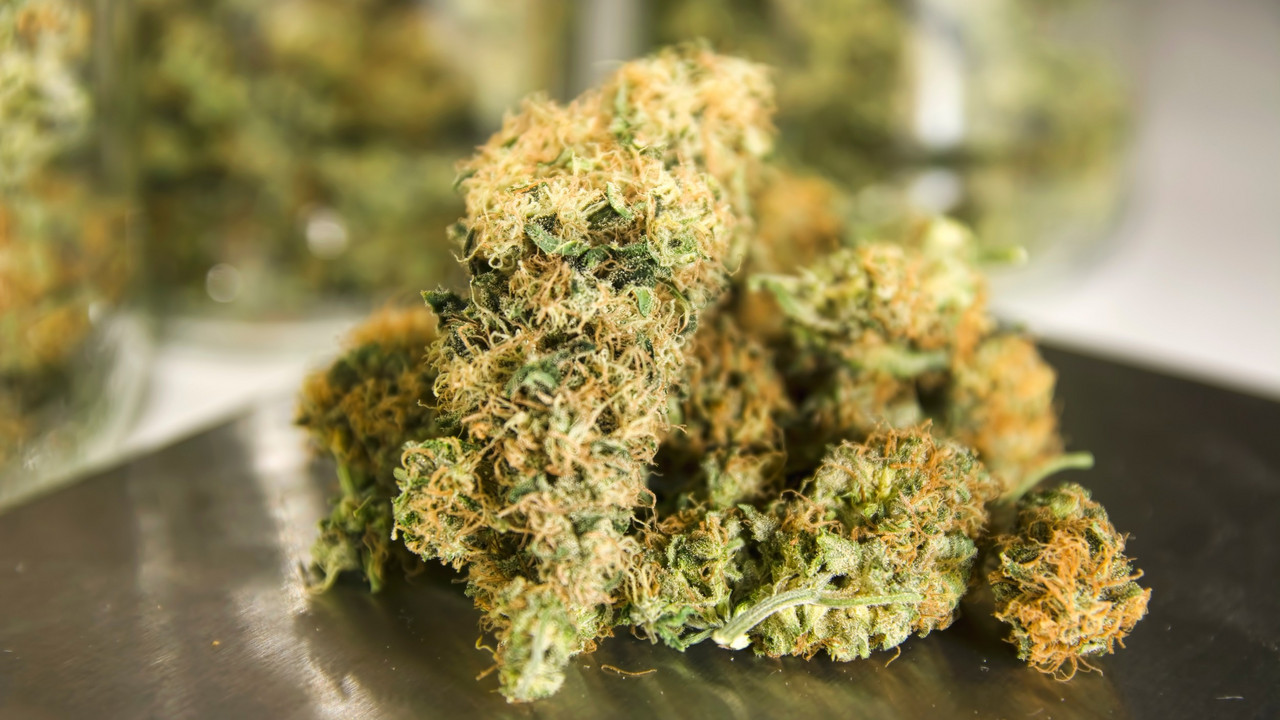Zaplenjena Marihuana