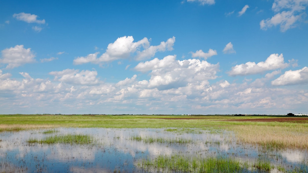 Panorama poplavljene njive