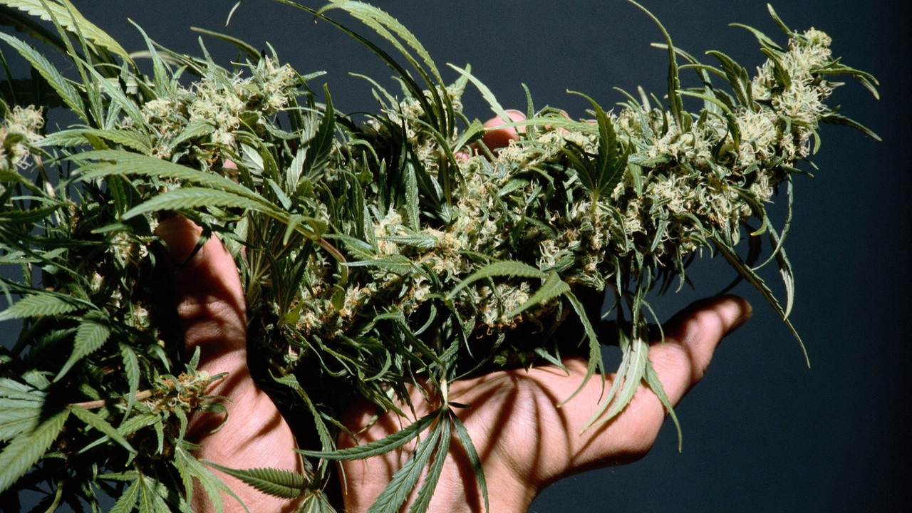 Marihuana