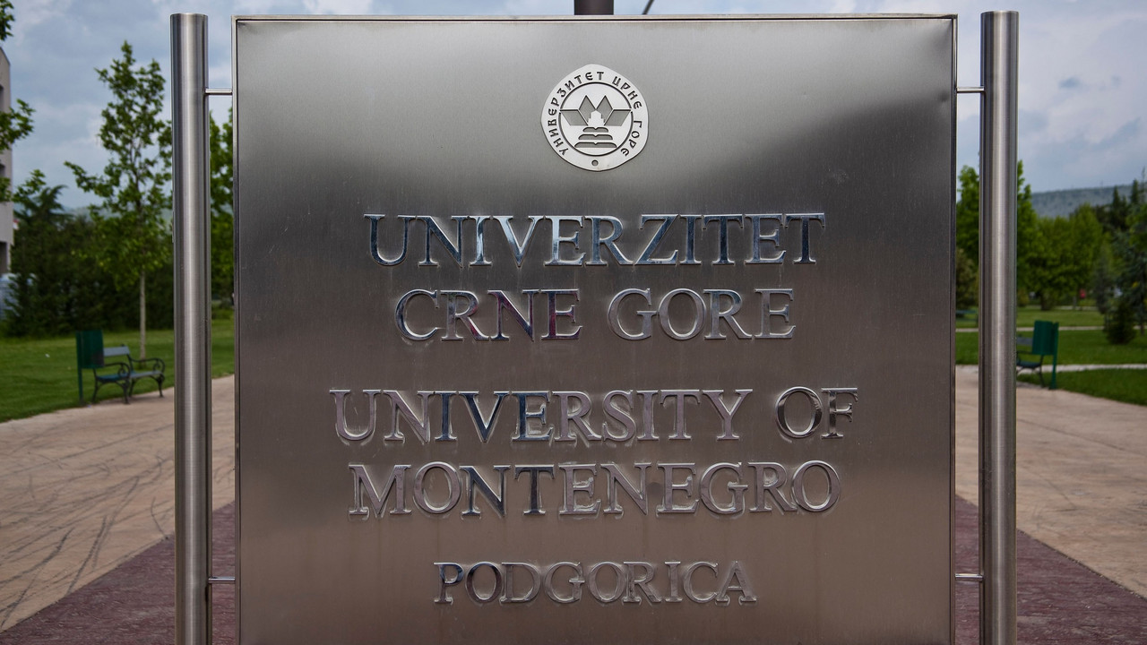 Univerzitet 