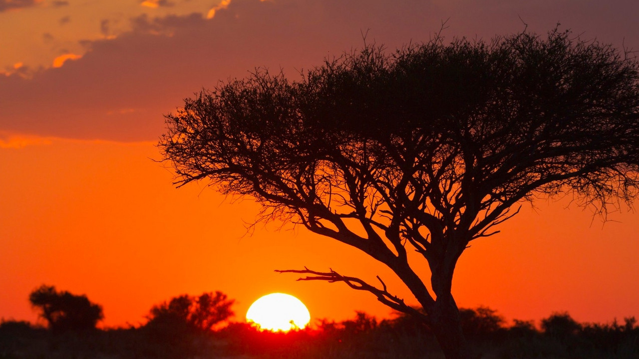 Afrika