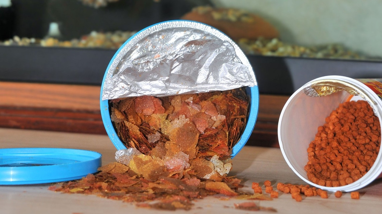 Hrana za ribice