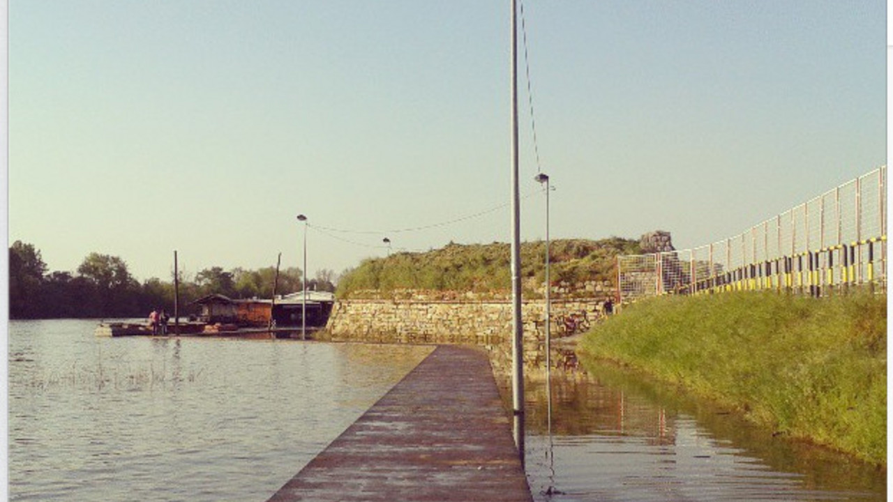 Sava