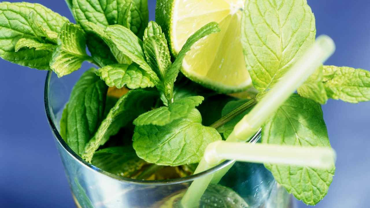 Mohito