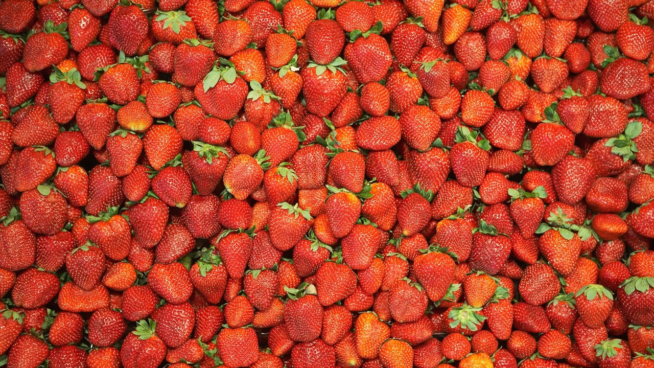 Jagode