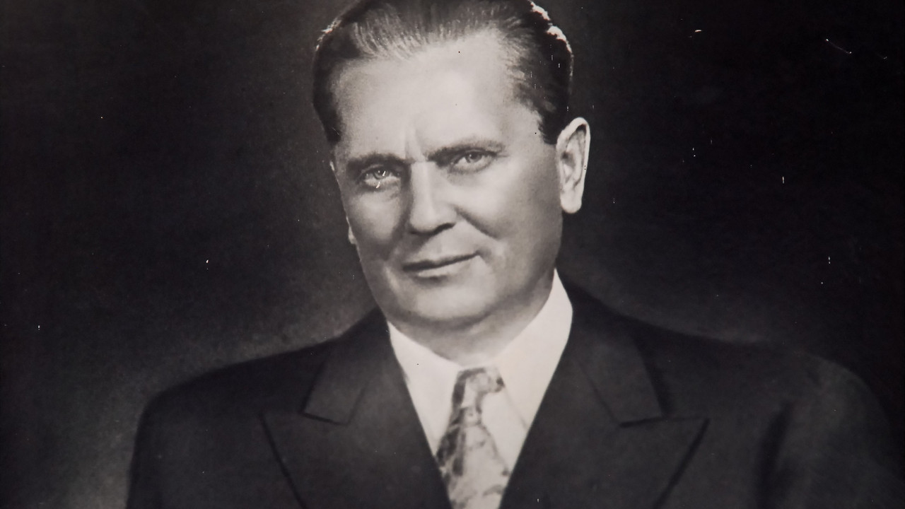 Dan mladosti