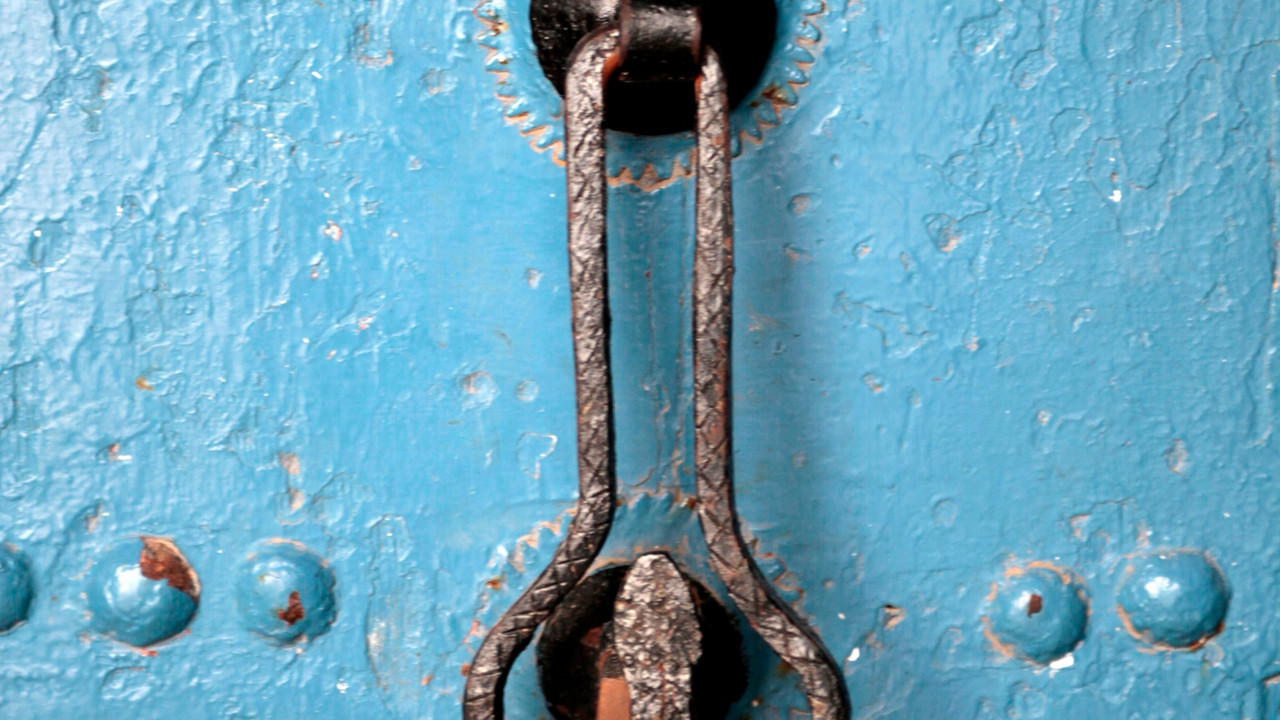 Penis