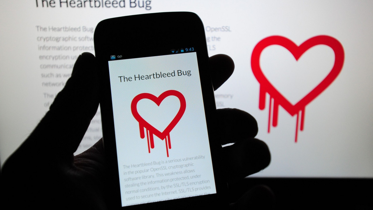 Heartbleed bug