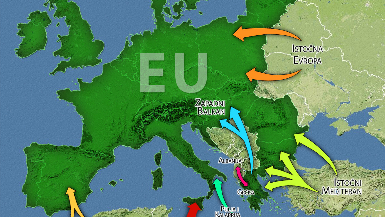 Putevi imigracije u EU