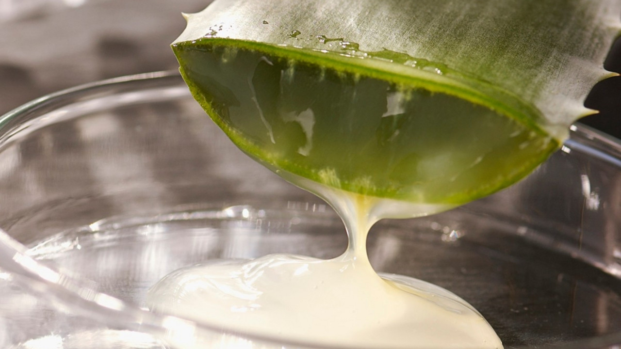 aloe vera gel se sipa u cinijicu
