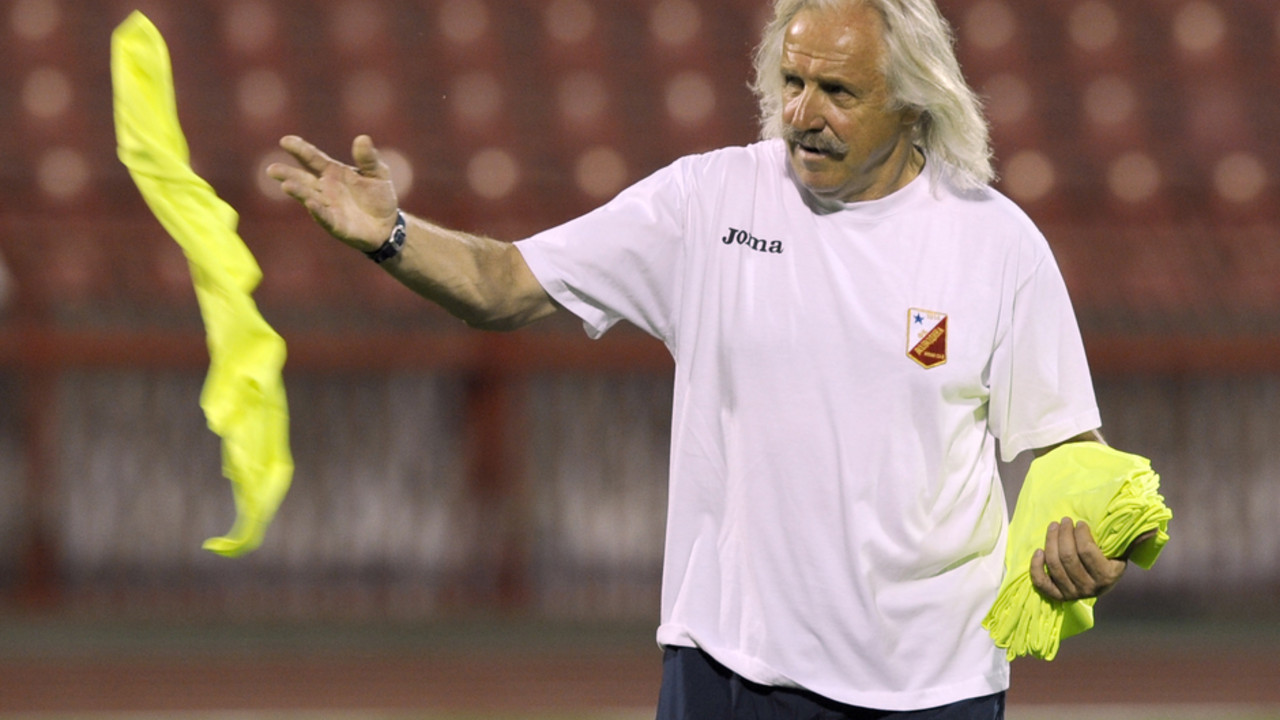 Dragoslav Stepanović, trener