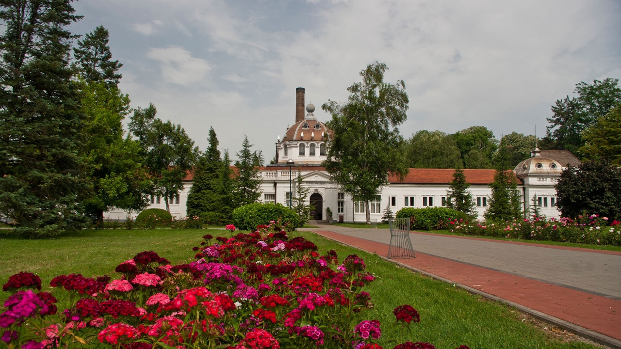 Loznica