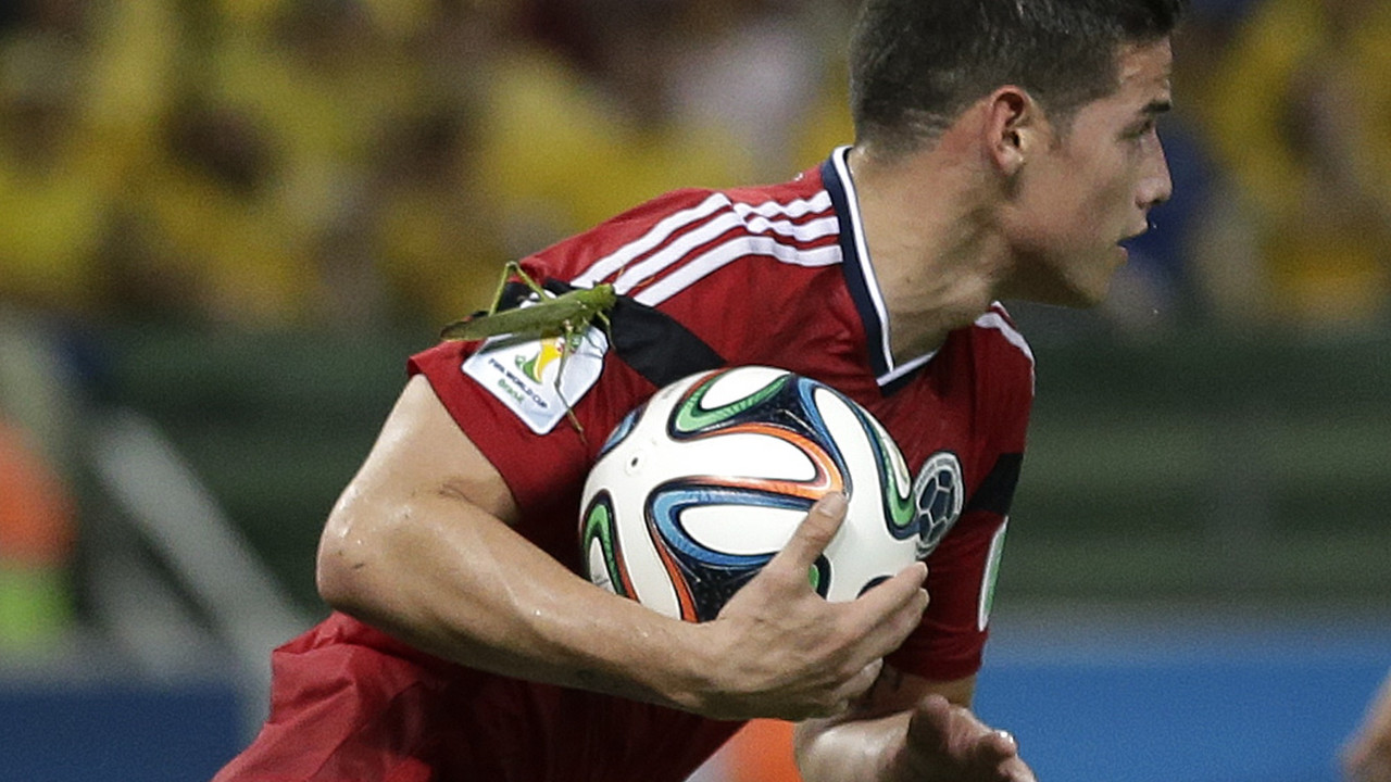 Džejms Rodrigez