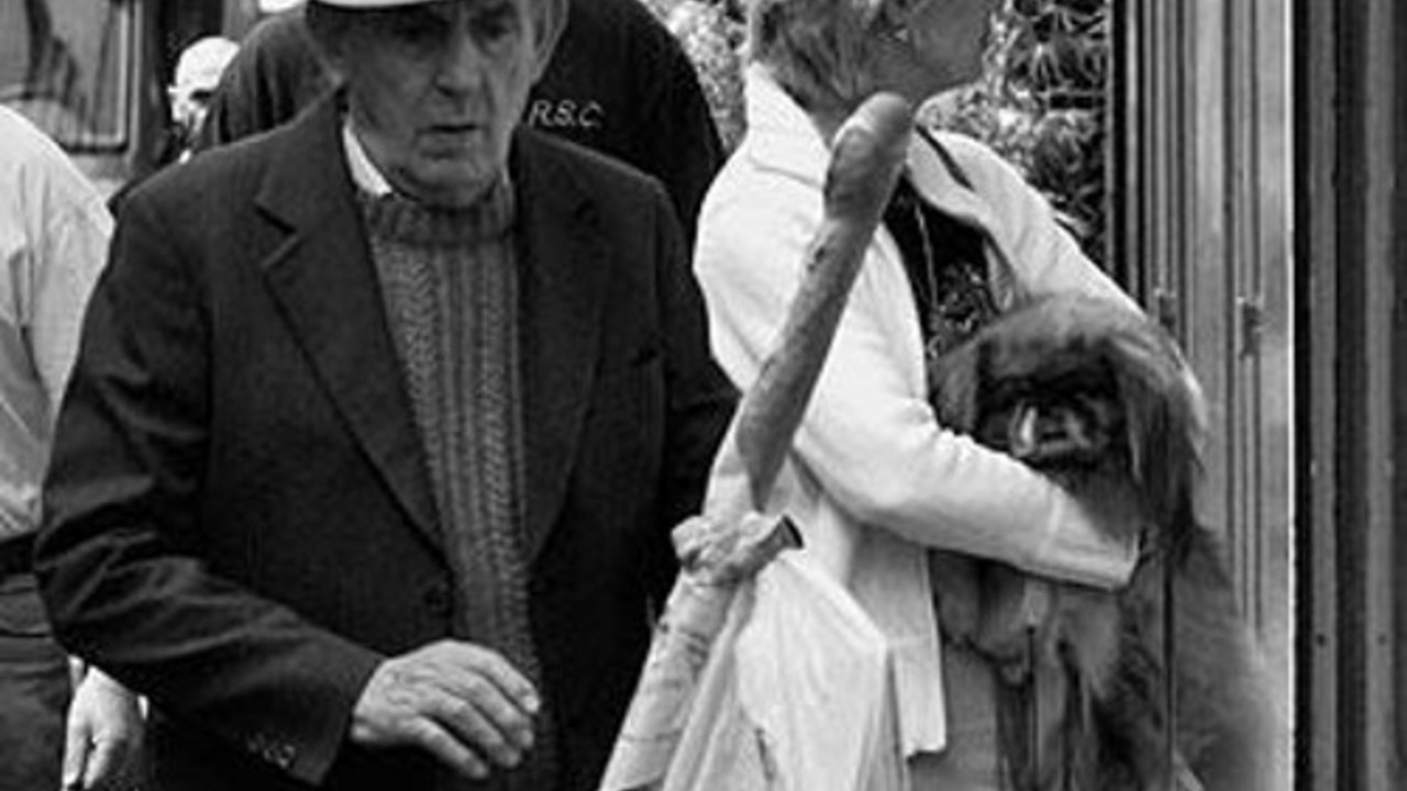 Fotografija Tomislava Peterneka