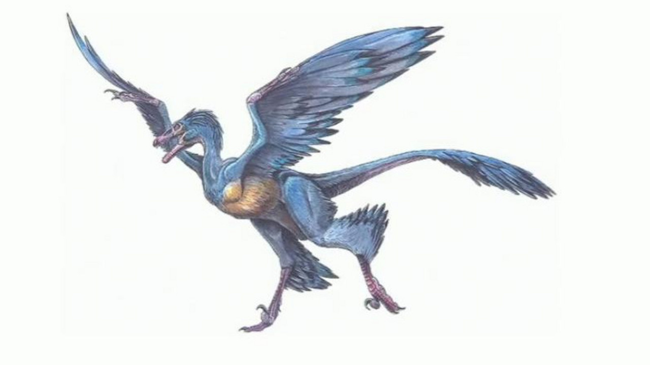 Dinosaurus sa četiri krila