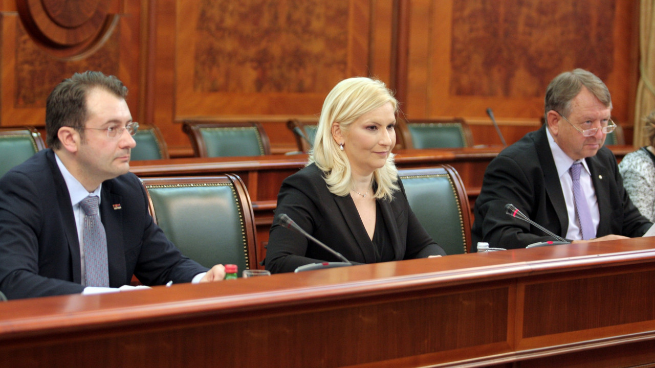 Zorana Mihajlović
