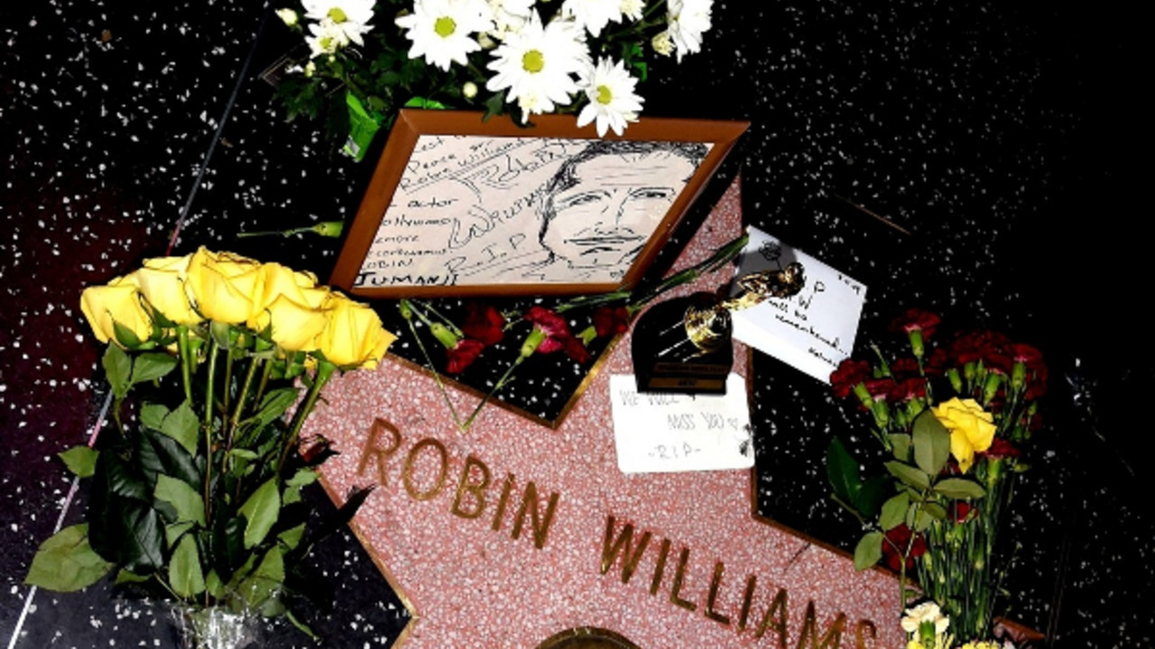 Robin Vilijams