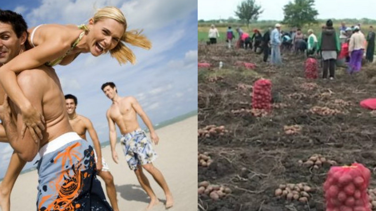 na plazi/na njivi