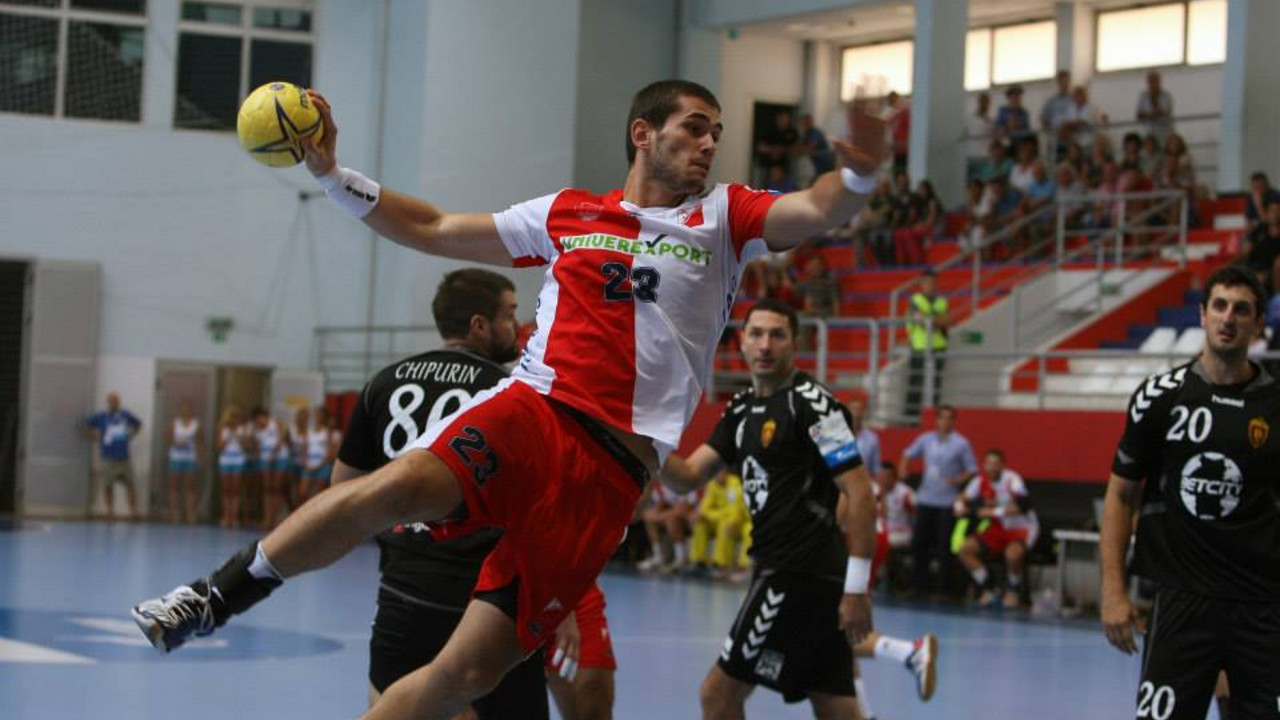 Zoran Nikolić, rukometaš Vojvodine