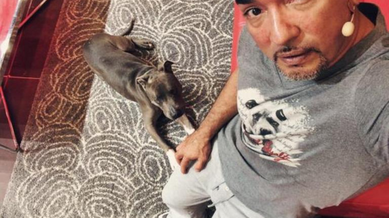 Cezar Milan i pitbul
