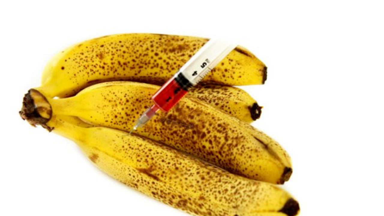 GMO banane