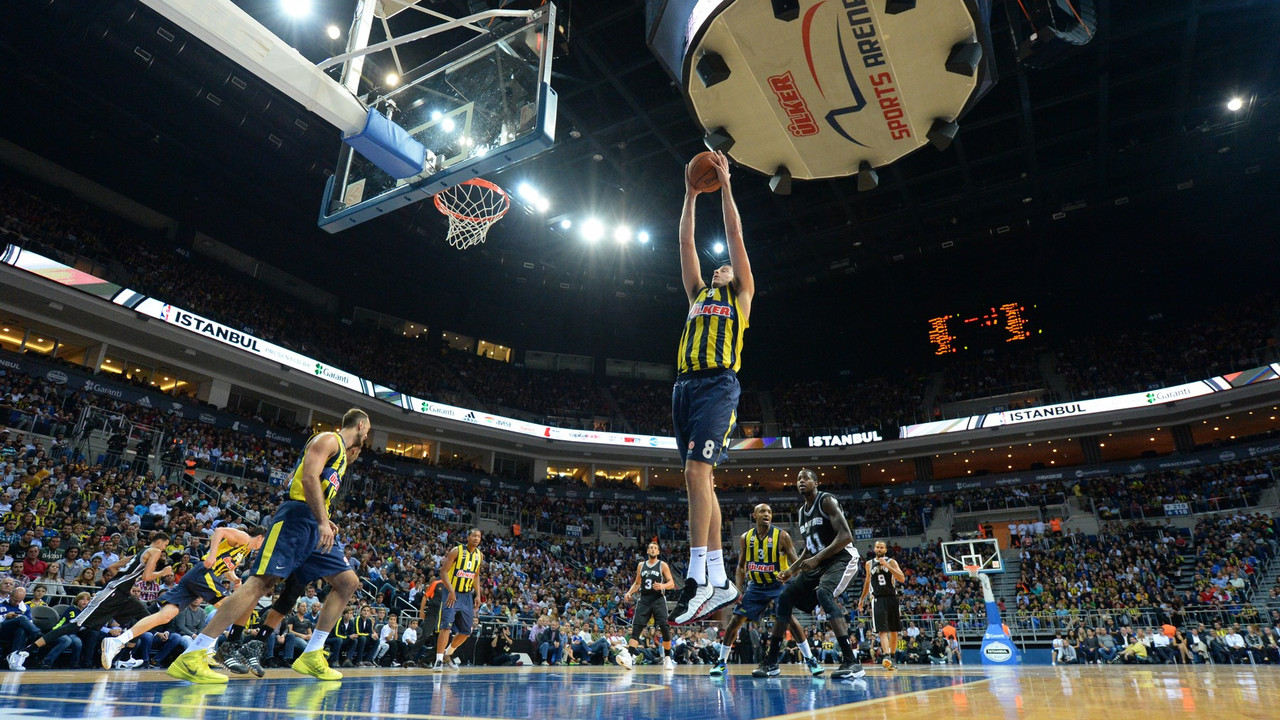 Nemanja Bjelica