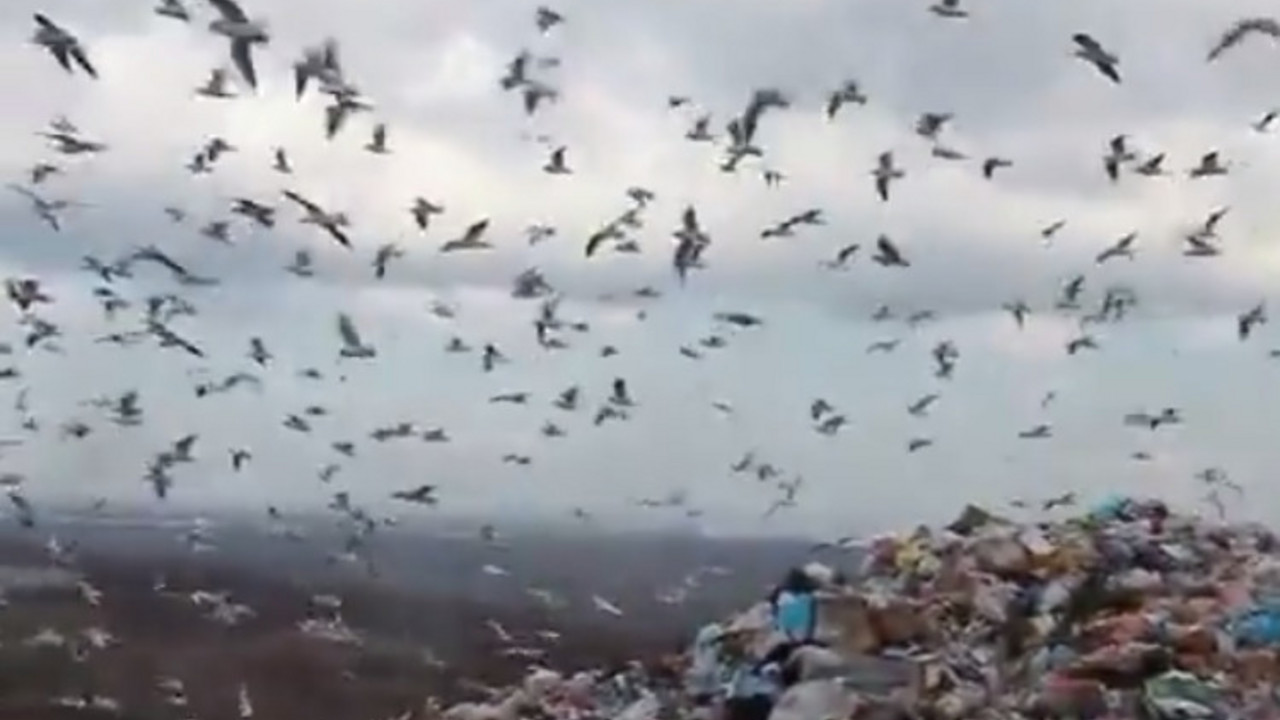 deponija u Vinči