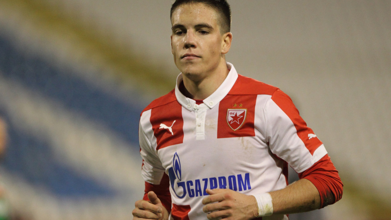 Mihailo Ristić