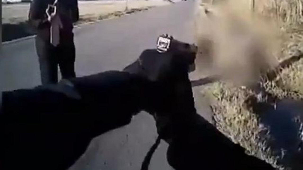 Ubistvo Afroamerikanca u Oklahomi