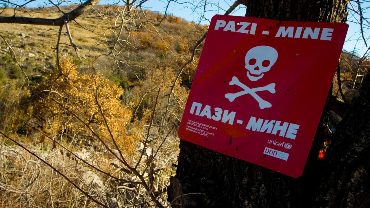 Minsko polje
