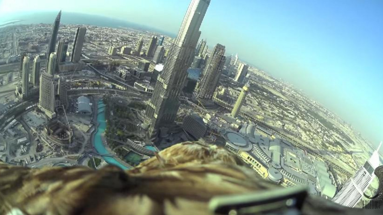 orao u dubaiju