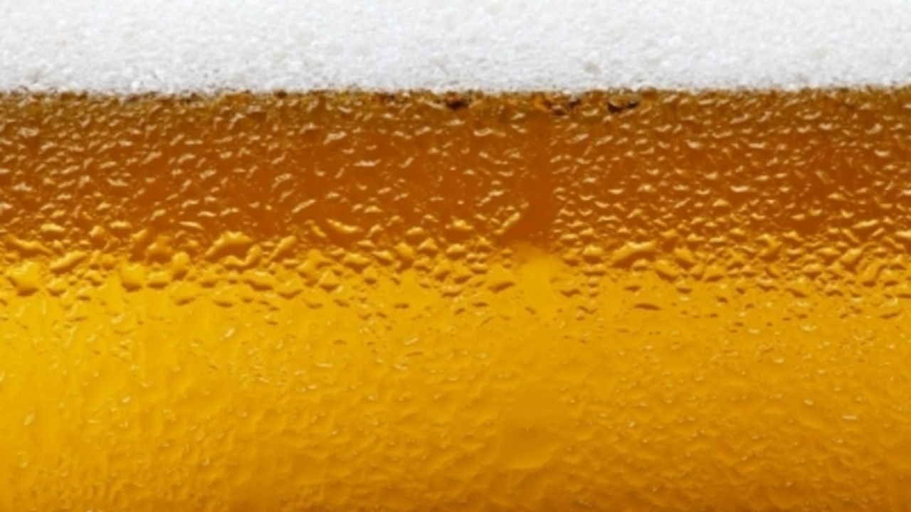 Pivo