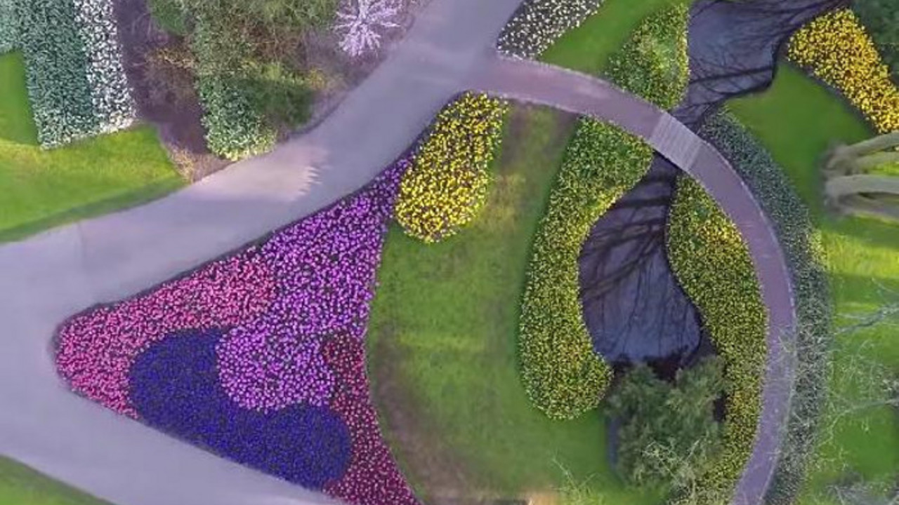 Keukenhof