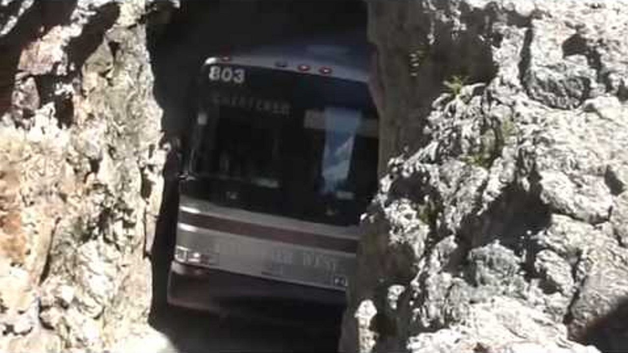 Autobus