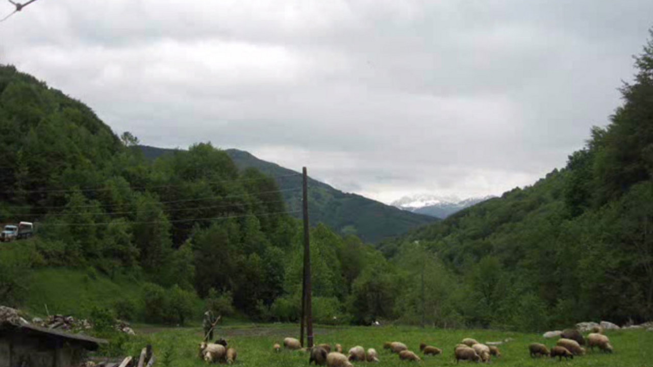 selo Velika
