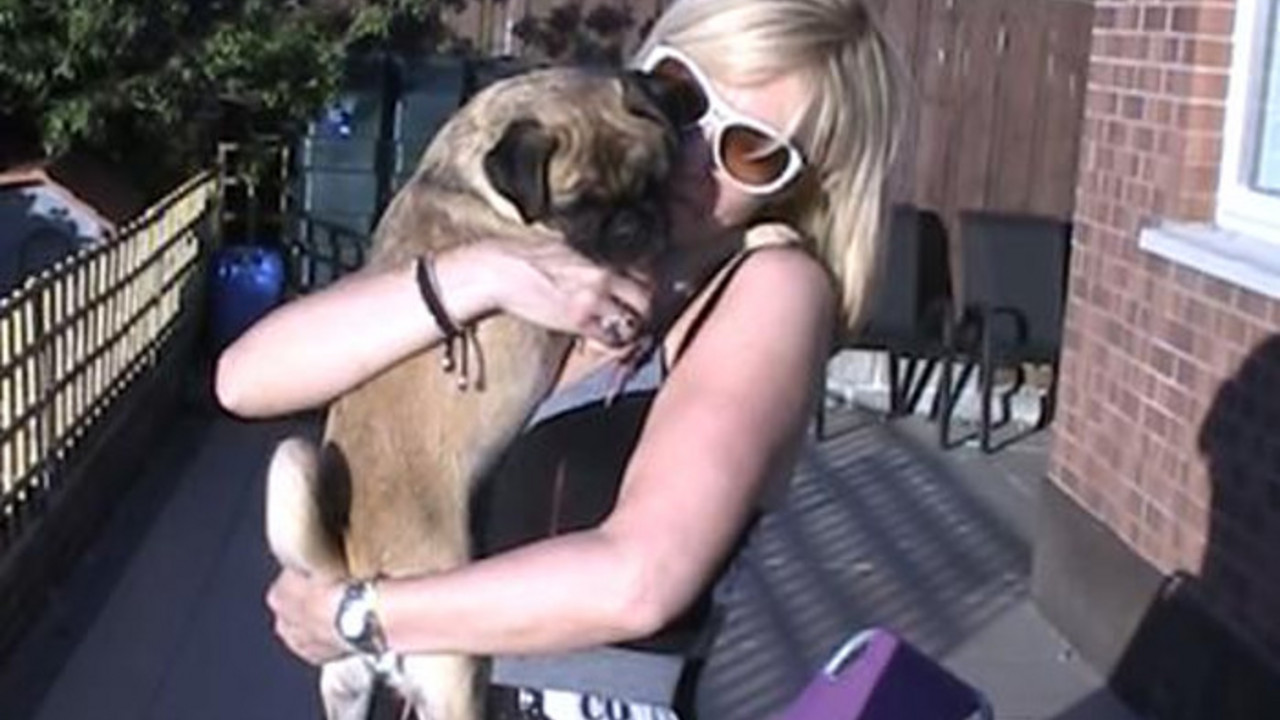 Mops