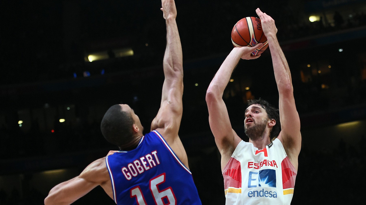 Pau Gasol i Rudi Gober