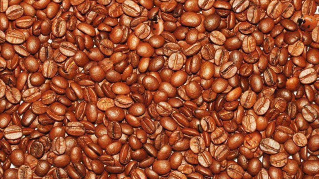 kafa - skrivalica