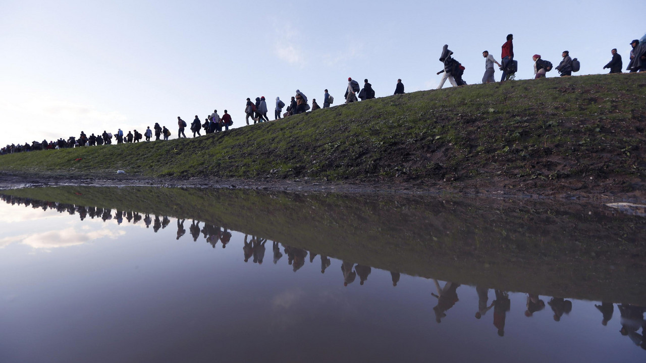 migranti