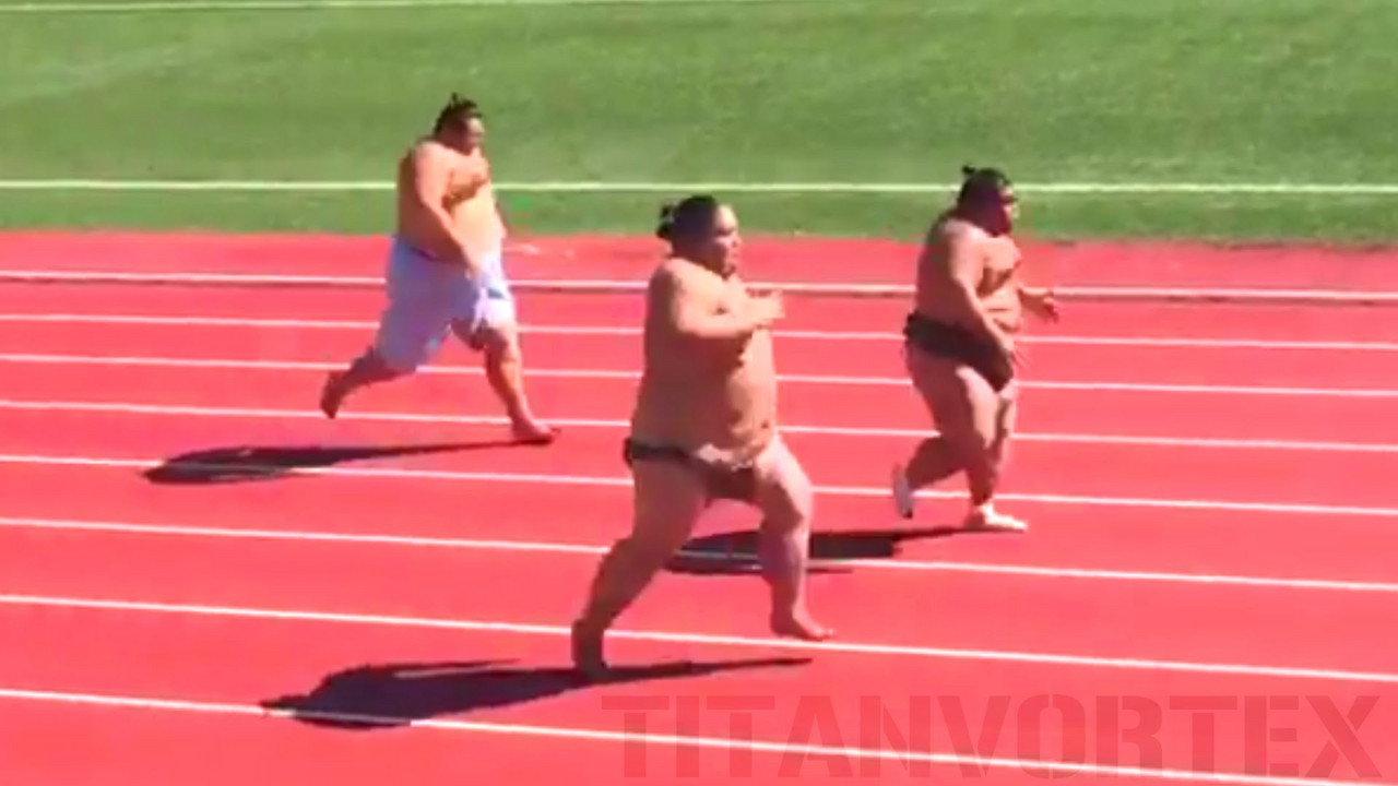 Sumo rvači