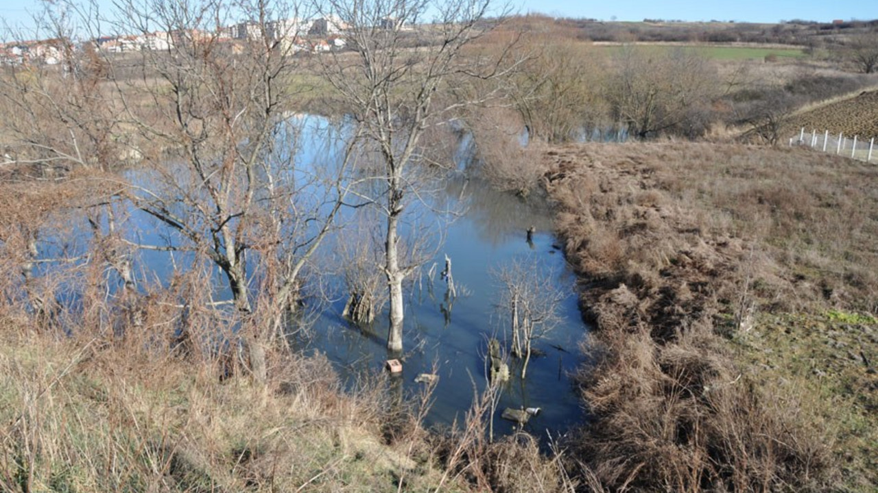 Fekalno jezero