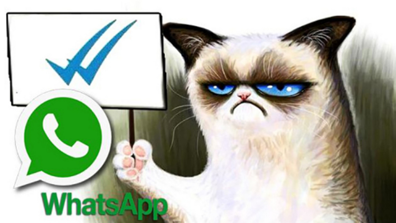 WatsApp mačka ne voli opciju "seen"