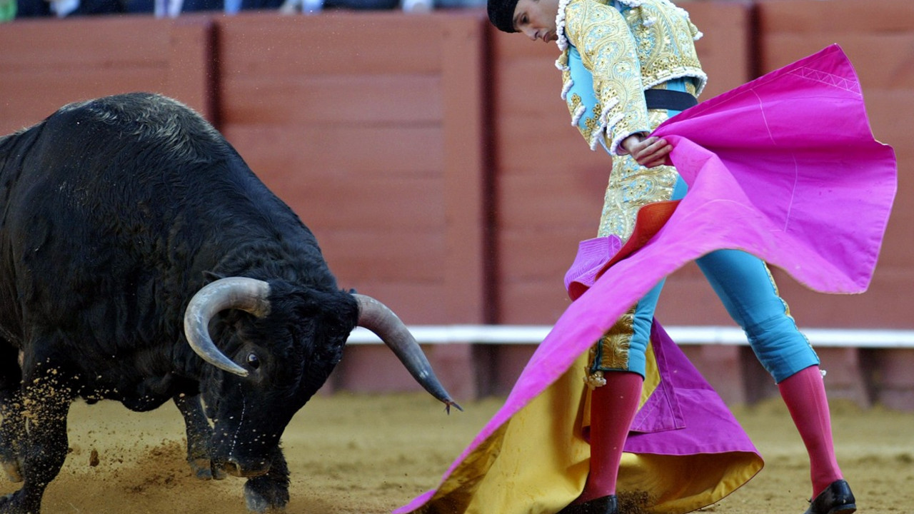 Matador