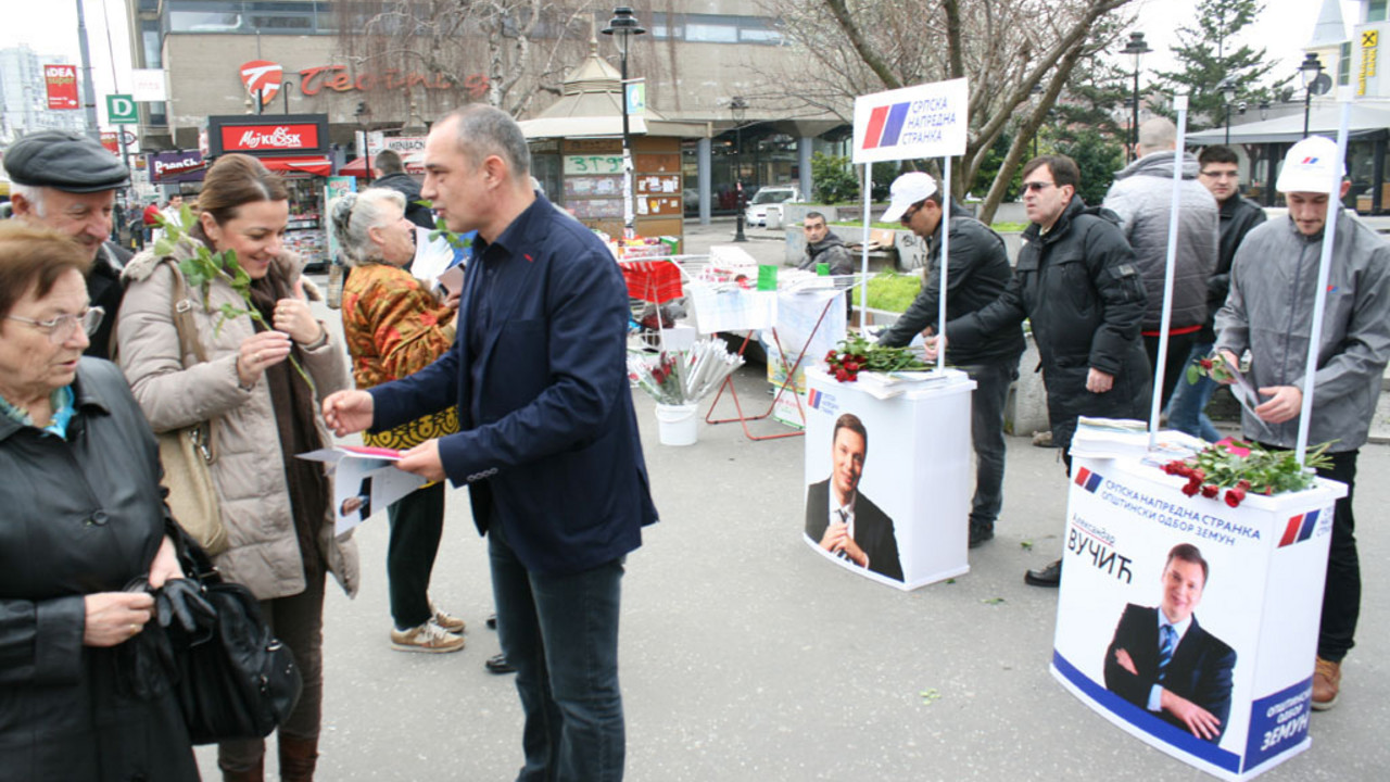 Aktivisti SNS Zemun dele ruže