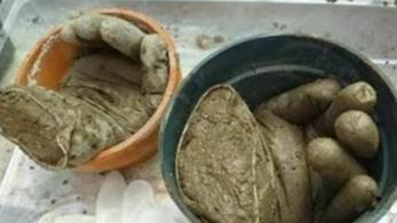 Sipao je cement u rukavice