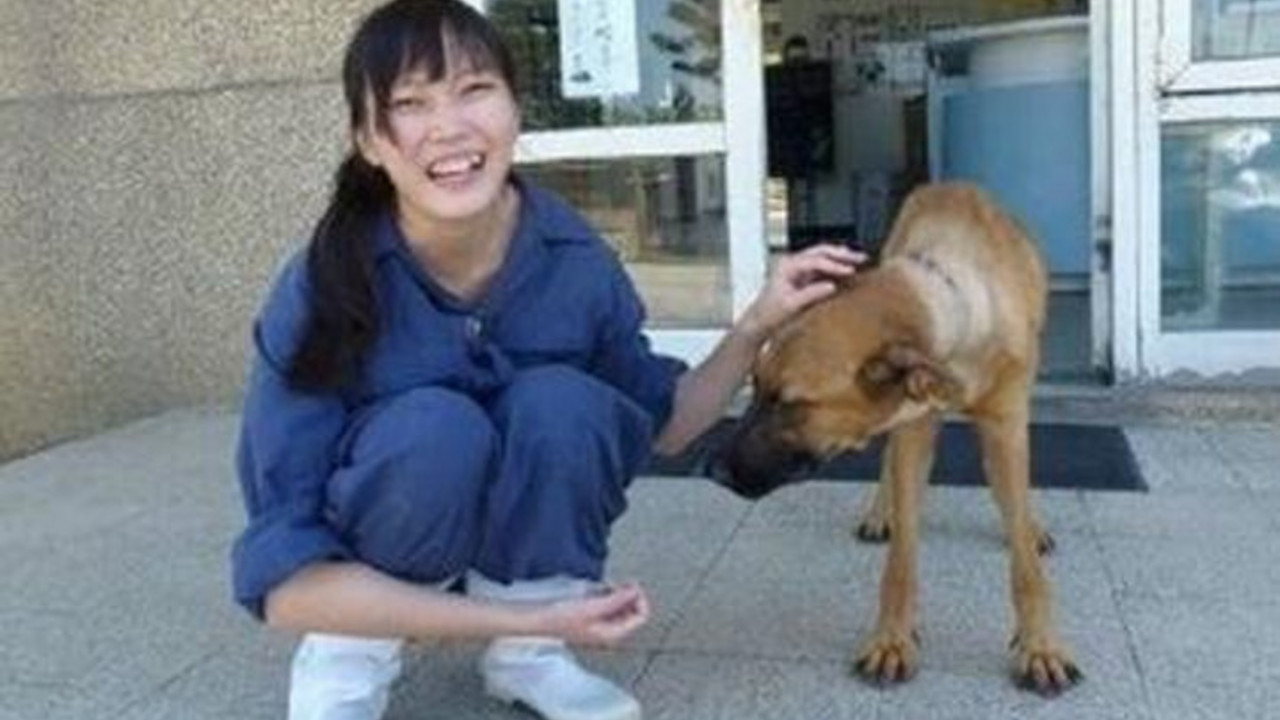 veterinarka
