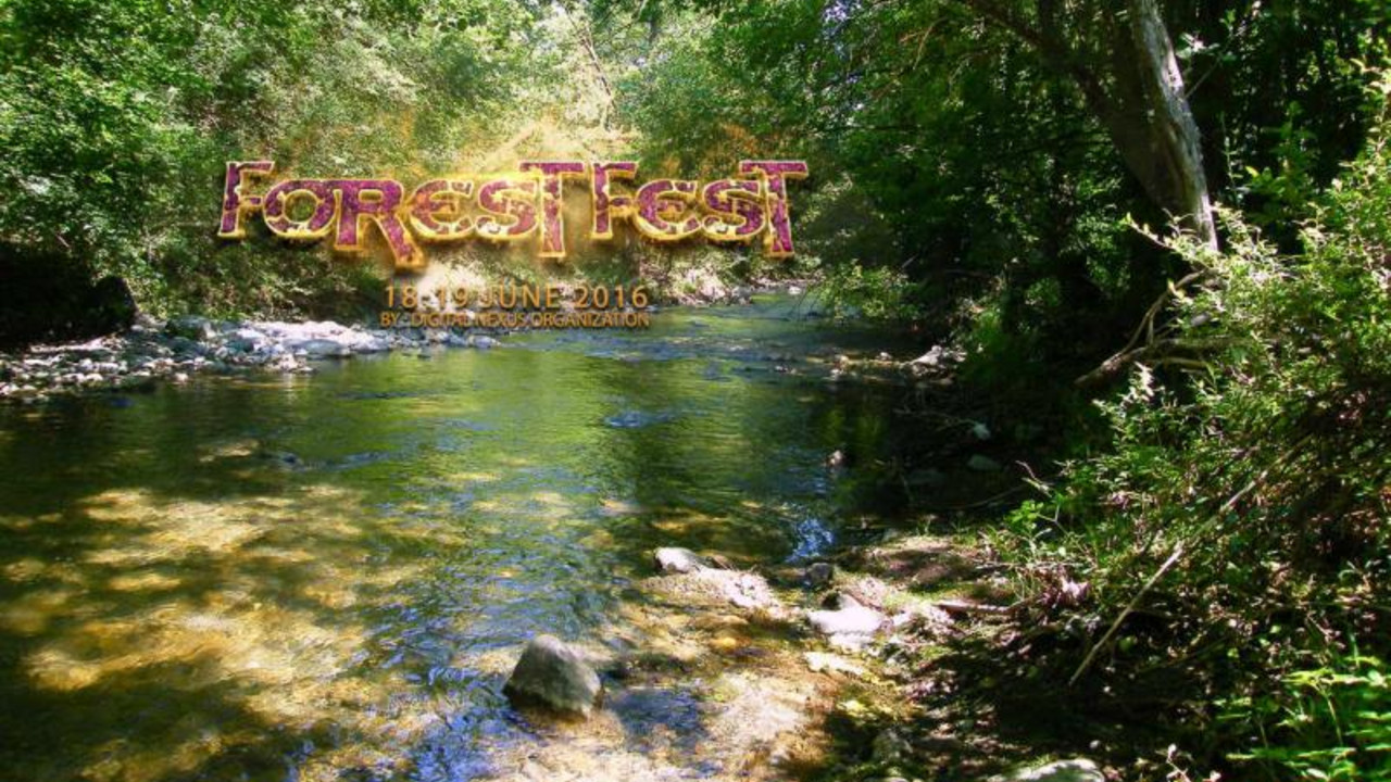 Forest fest