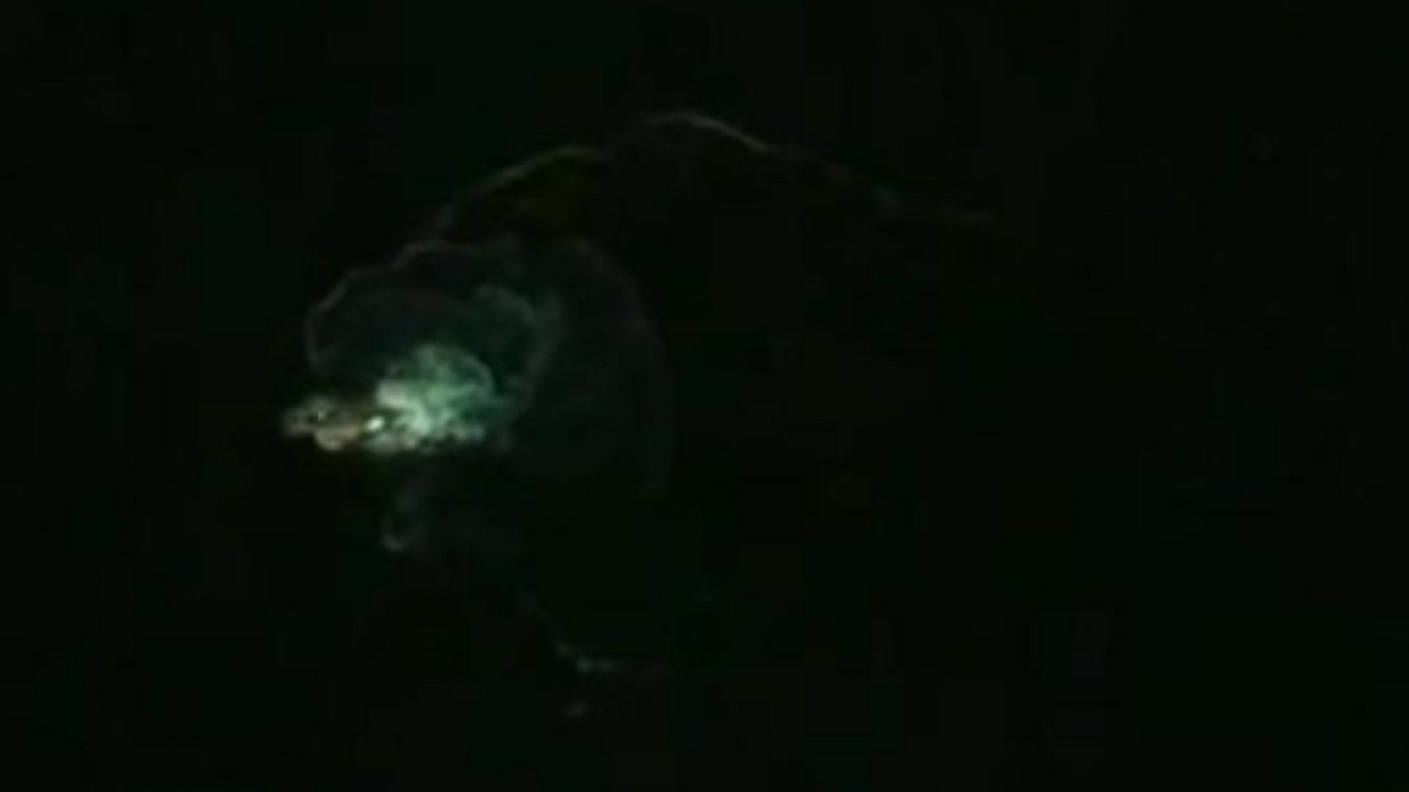 Čudovište sa Južnih Šetlanda- Kraken