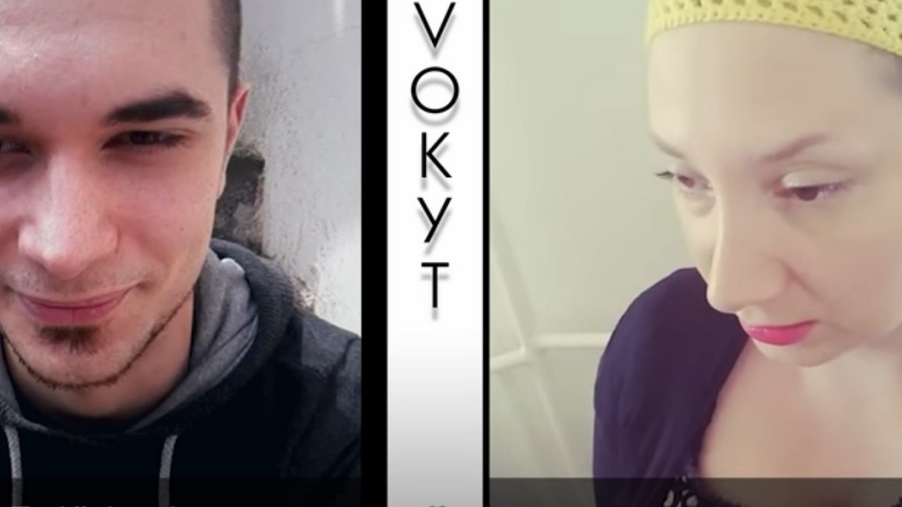 Dnevnjak
